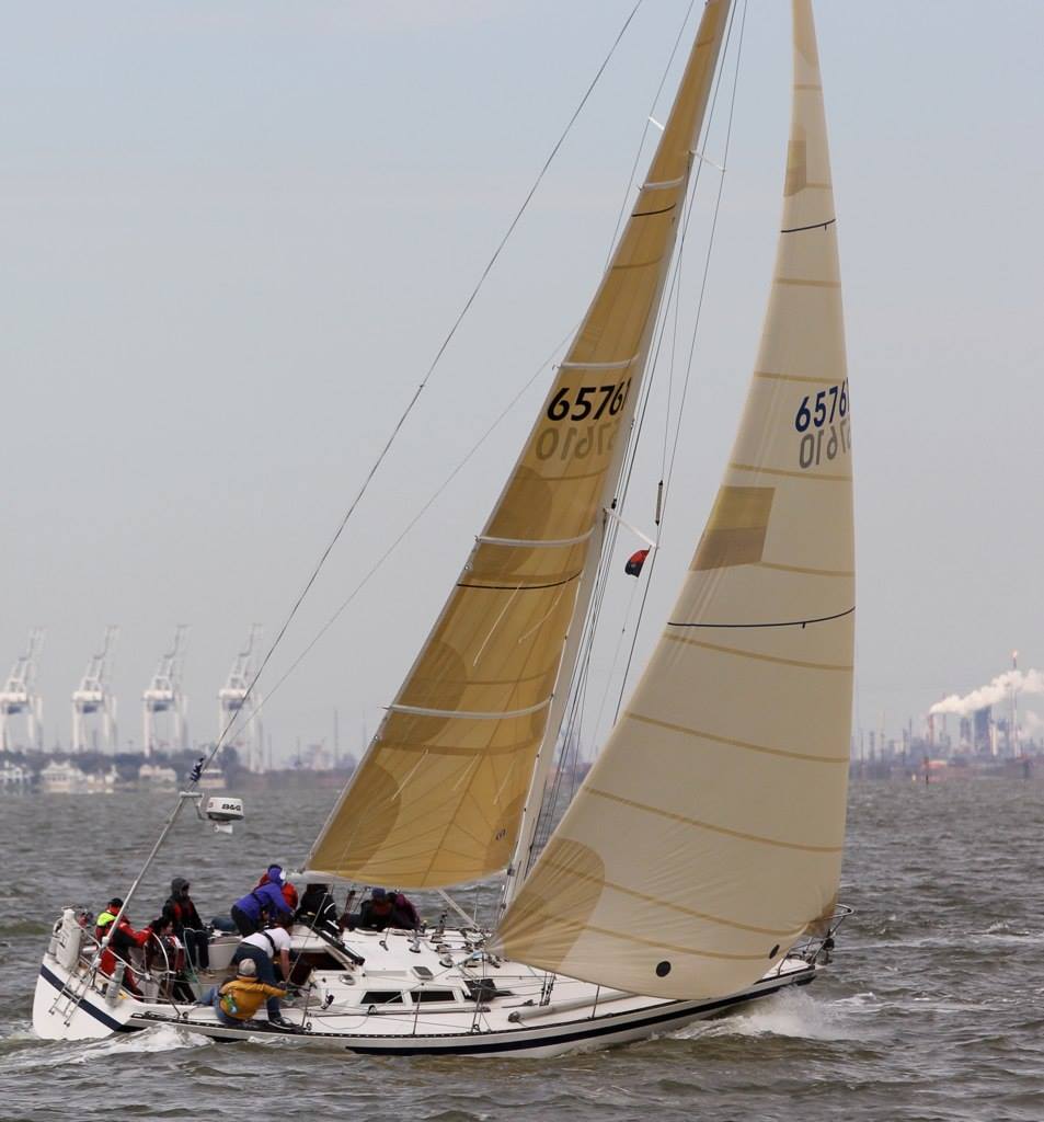 sea scout sailboat